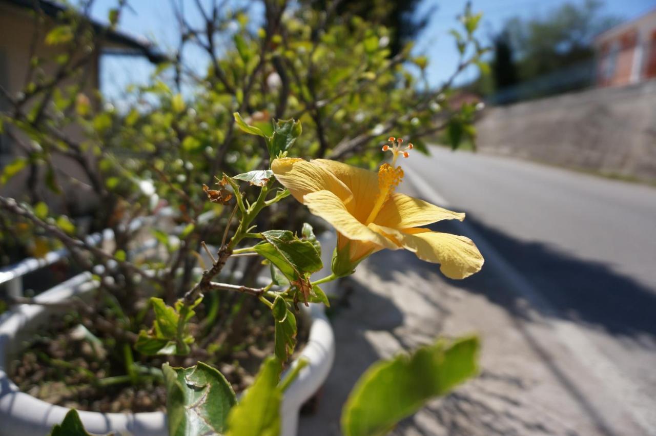 Kefalonia Sea View Daire *